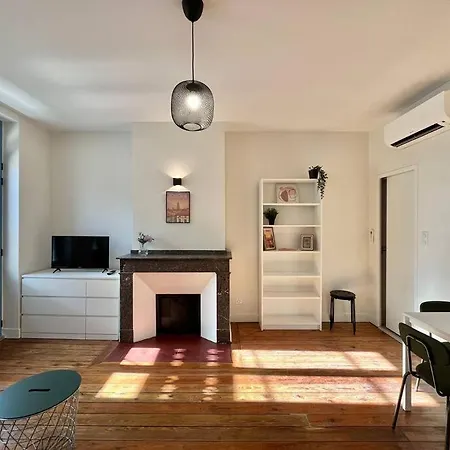Beau Rue Du Printemps Appartement Toulouse